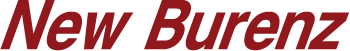 株式会社ニューブレーンズ